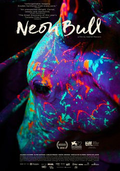 Neon Bull - poster