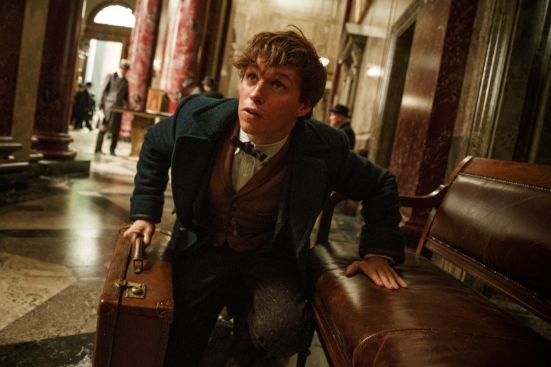 Fantastic Beasts and Where to Find Them - still