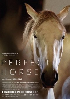 Perfect Horse - poster