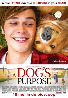 A Dog's Purpose - poster