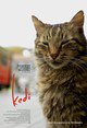 Kedi