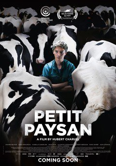 Petit Paysan - poster