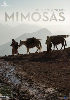 Mimosas - poster