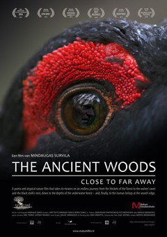 The Ancient Woods - poster