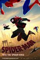 Spider-Man: Into The Spider-Verse (NL)