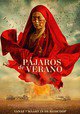Pájaros de verano