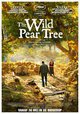 The Wild Pear Tree