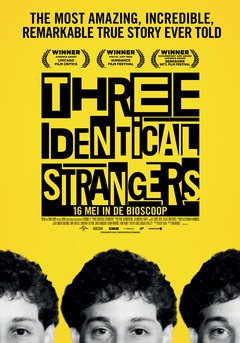 Three Identical Strangers - poster