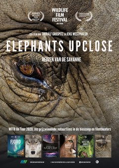 Elephants Up Close - poster