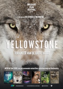Yellowstone - poster