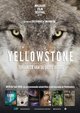 Yellowstone