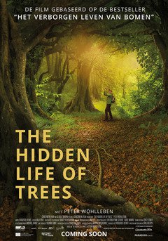 The Hidden Life of Trees - poster