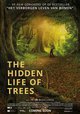 The Hidden Life of Trees
