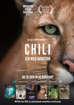 Chili - poster