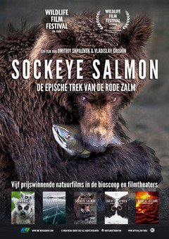 Nature on Tour: Sockeye Salmon - poster