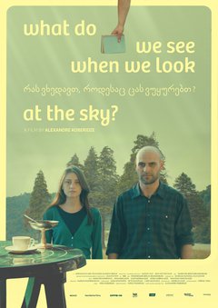 What Do We See When We Look at the Sky? - poster