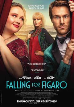 Falling For Figaro - poster