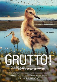 Grutto! De Reis van onze Nationale Vogel - poster