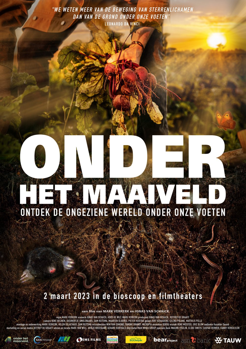 Onder het Maaiveld