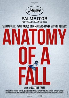 Anatomy of a Fall - poster