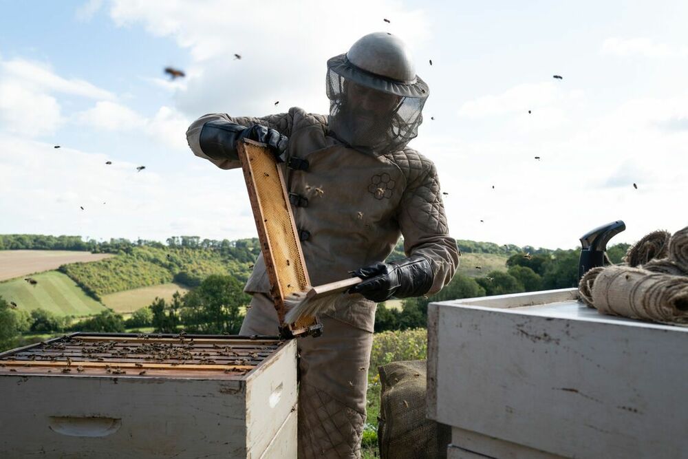 The Beekeeper - still