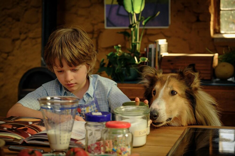 Lassie: Een Nieuw Avontuur - still