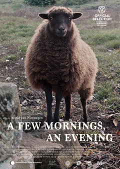 A Few Mornings, an Evening - poster