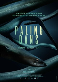 Palingdans - poster