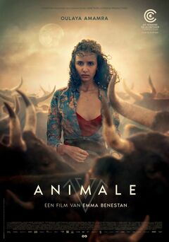 Animale - poster