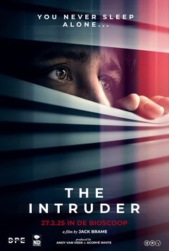 The Intruder - poster