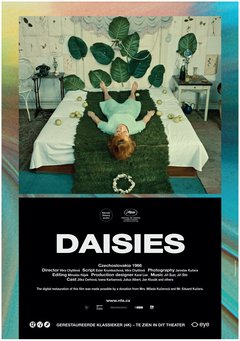 Daisies - poster