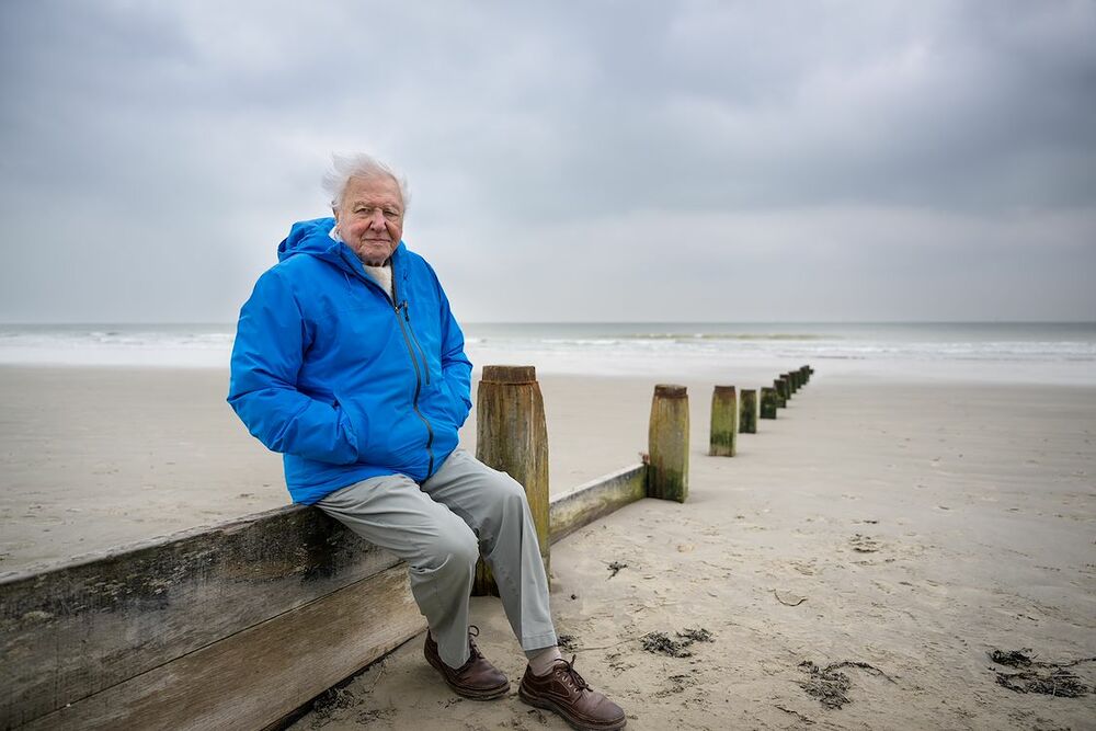OCEAN with David Attenborough - still