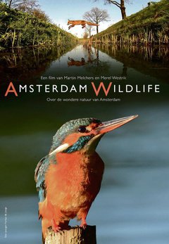Amsterdam Wildlife - poster