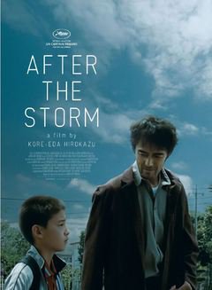 After the Storm - poster