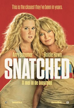 Snatched - poster