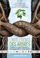 The Intelligence of Trees