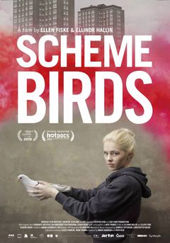 Scheme birds - poster