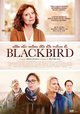 Blackbird