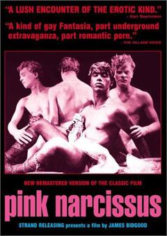 Pink Narcissus - poster