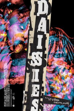 Daisies - poster