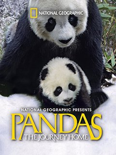 Pandas: The Journey Home - poster