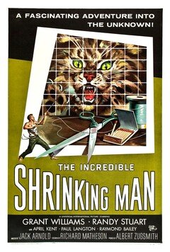 The Incredible Shrinking Man - poster