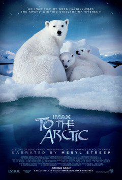 To The Arctic - poster