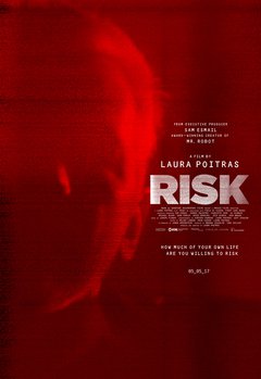 Risk - poster