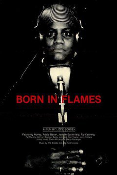 Born in Flames - poster