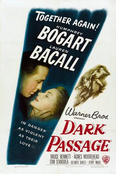 Dark Passage - poster