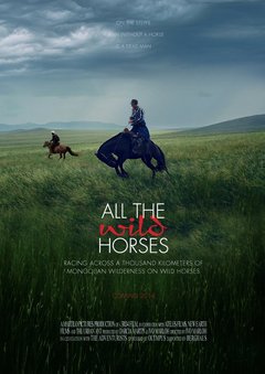 All the Wild Horses - poster