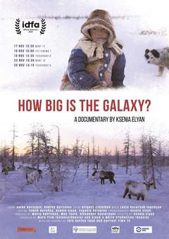 How Big Is the Galaxy? - poster