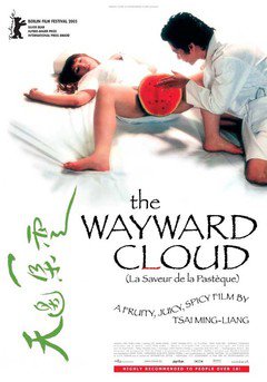 The Wayward Cloud - poster