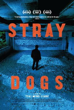 Stray Dogs - poster
